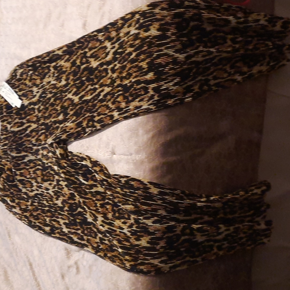 eric  Signature dressy pant